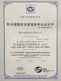 Bwin必赢网址集团职业健康安全管理体系认证证书
