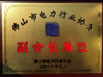 Bwin必赢网址集团荣获佛山市电力行业协会“副会长单位”